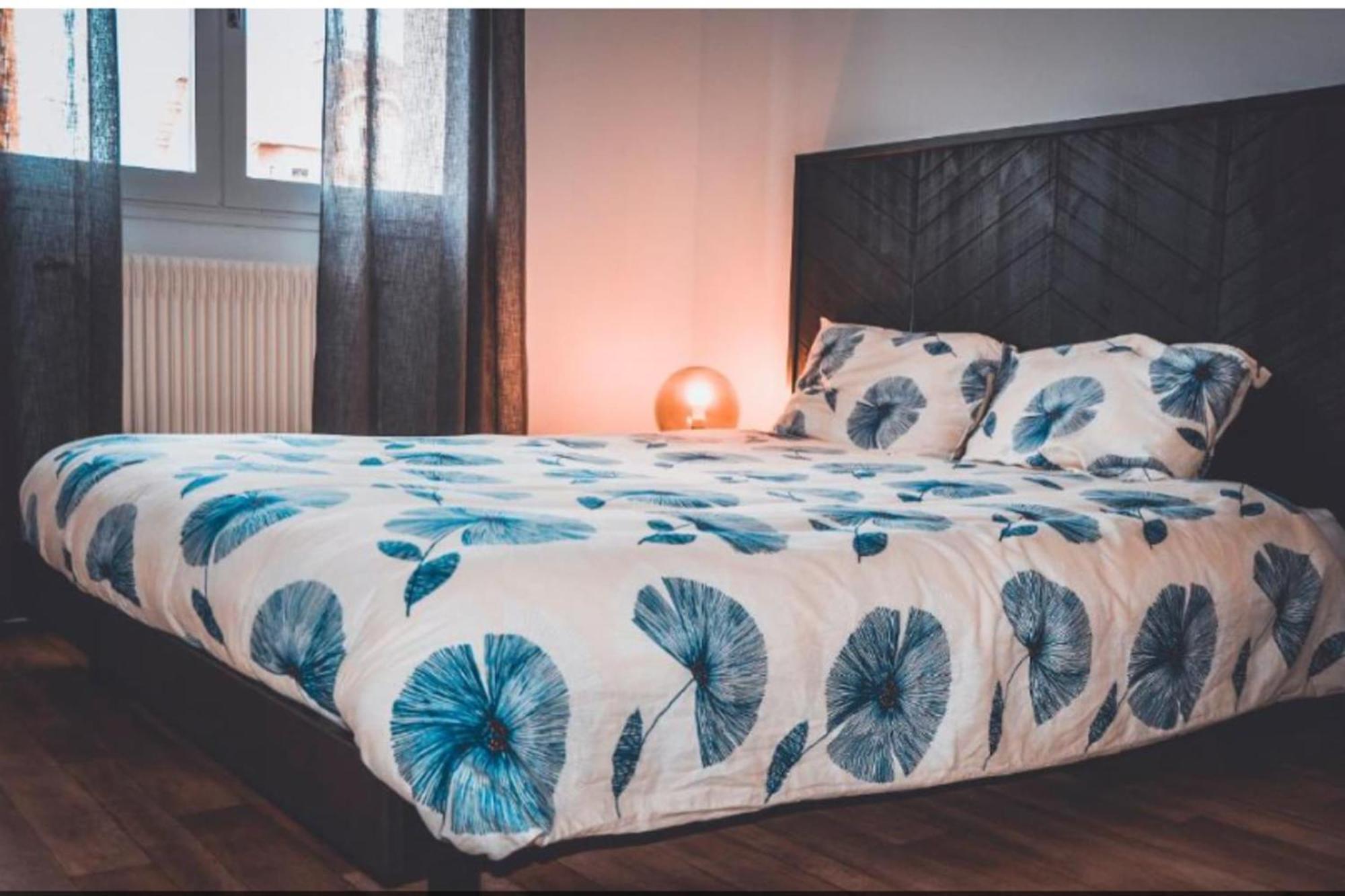 Le Lotus - Avec Place De Parking Annecy Ngoại thất bức ảnh